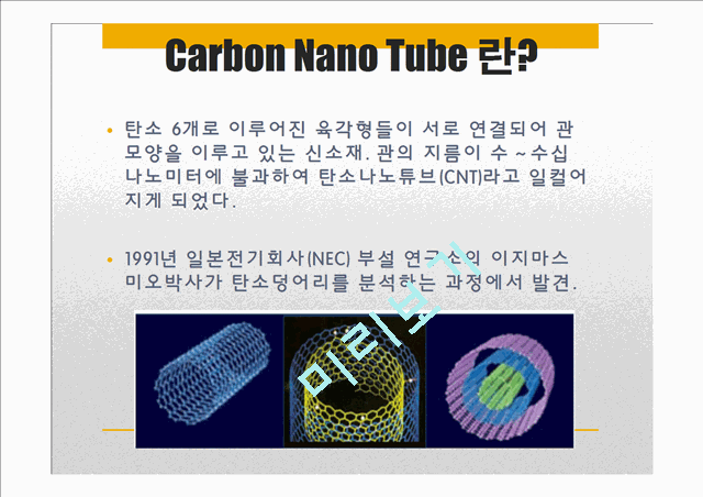 [자연과학] 전기화학 - Carbon Nano Tube[CNT] 탄소나노튜브의 응용   (3 )